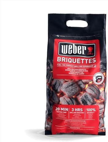 Efficient Chimney Starter Kit with Briquettes